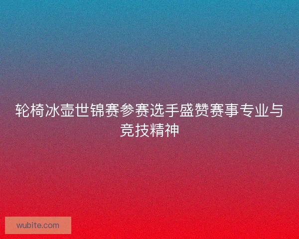 轮椅冰壶世锦赛参赛选手盛赞赛事专业与竞技精神